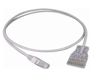 CAT 5e 110-RJ45 4對跳(tiào)線1米